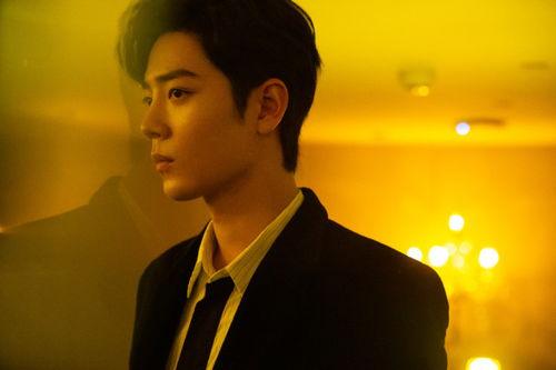 肖战小鹿茶最新爆料,神秘新品即将亮相，粉丝翘首以盼！