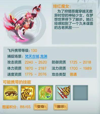 最新梦想企鹅大爆料,最新爆料揭示企鹅世界的秘密与奇迹