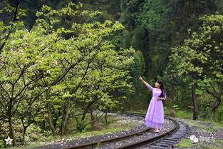 风景最新爆料视频,震撼视频带你领略绝美风光