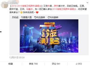 湖南跨年爆料新闻报道最新,璀璨烟花映照新年梦想，精彩节目引爆狂欢夜