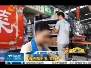 外卖小哥海洋最新爆料,外卖行业背后的真实故事