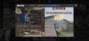 晓鼬视频爆料大全最新版,最新版精彩内容大盘点