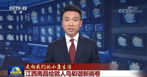 染柒最新爆料新闻联播,新闻联播最新爆料背后的故事